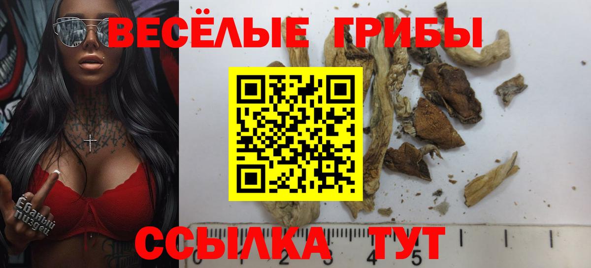 Псилоцибиновые грибы прущие грибы  Вход с VPN  Тосно  наркошоп  Галлюциногенные грибы Magic Shrooms 